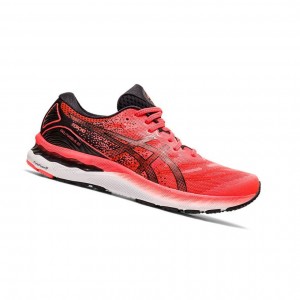 Asics GEL-NIMBUS 23 TOKYO Laufschuhe Herren Rot | 185AXBISM