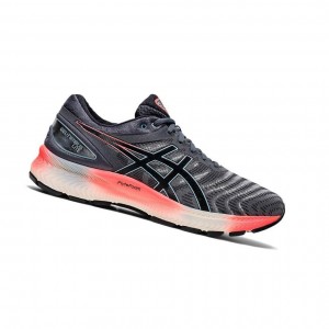 Asics GEL-NIMBUS LITE Laufschuhe Herren Grau | 647DETFZG