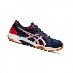 Asics GEL-ROCKET 10 (2E) Volleyballschuhe Herren Silber | 509URTEND