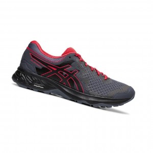 Asics GEL-SONOMA 4 Trailrunning Schuhe Damen Grau | 459ZHDTAV
