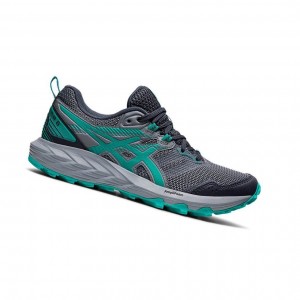 Asics GEL-SONOMA 6 Trailrunning Schuhe Damen Grau | 713TEUHDY