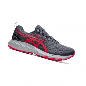 Asics GEL-SONOMA 6 Trailrunning Schuhe Herren Grau | 173TMFXGR