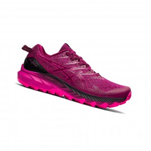 Asics GEL-Trabuco 10 Trailrunning Schuhe Damen Fuchsie Rot | 621MPNLFO