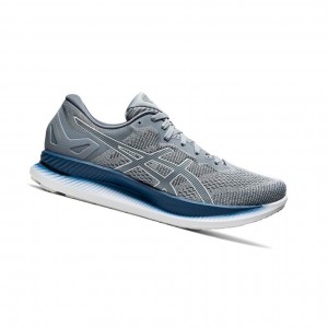 Asics GLIDERIDE Laufschuhe Herren Grau | 409BSGXRQ