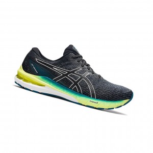 Asics GT-2000 10 (2E) Laufschuhe Herren Grau | 120ZTNRSK