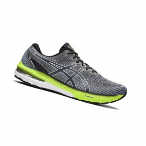 Asics GT-2000 10 (2E) Laufschuhe Herren Grau Weiß | 154ZKWTXS