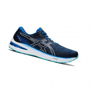 Asics GT-2000 10 (2E) Laufschuhe Herren Weiß | 953LNOZXK