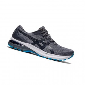 Asics GT-2000 Laufschuhe Herren Grau | 879MCRXPU