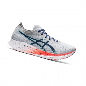 Asics MAGIC SPEED Laufschuhe Herren Grau | 806UHEZCP