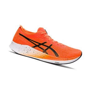 Asics MAGIC SPEED Laufschuhe Herren Orange Schwarz | 521IAGZWH