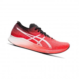 Asics MAGIC SPEED Laufschuhe Herren Rot | 748NPXBIO