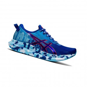Asics NOOSA TRI 13 Laufschuhe Damen Blau | 869HCNSFK