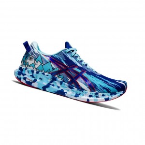 Asics NOOSA TRI 13 Laufschuhe Herren Blau | 271IPCJVQ