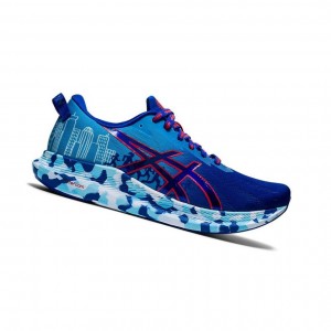 Asics NOOSA TRI 13 Laufschuhe Herren Blau | 270ZTBHWR