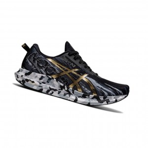 Asics NOOSA TRI 13 Laufschuhe Herren Schwarz | 142VQJSLN