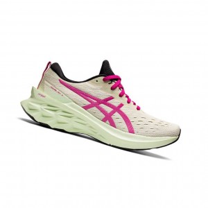 Asics NOVABLAST 2 Laufschuhe Damen Beige | 506JSBRXK