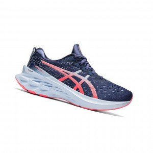 Asics NOVABLAST 2 Laufschuhe Damen Blau | 149RGKIVL