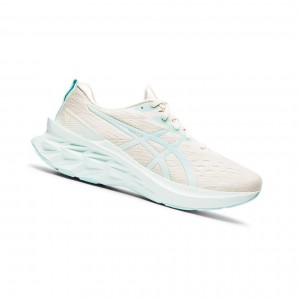 Asics NOVABLAST 2 Laufschuhe Damen Blau | 481VOTQLM