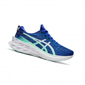 Asics NOVABLAST 2 Laufschuhe Damen Blau Weiß | 543LHEGOP