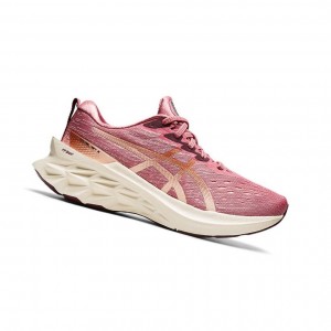 Asics NOVABLAST 2 Laufschuhe Damen Rosa | 589KZEXIU
