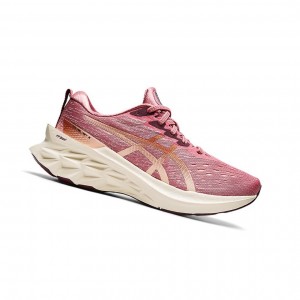 Asics NOVABLAST 2 Laufschuhe Damen Rosa | 419JTWAZE