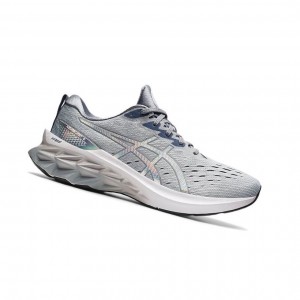 Asics NOVABLAST 2 Laufschuhe Herren Grau | 476BAXVHI