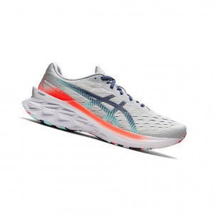 Asics NOVABLAST 2 Laufschuhe Herren Grau | 854ZPLXEH