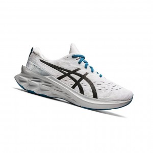 Asics NOVABLAST 2 Laufschuhe Herren Weiß | 156SUTYVE