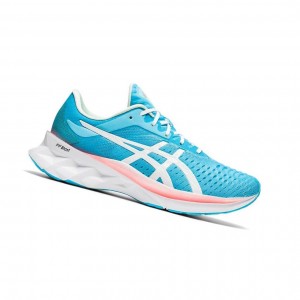 Asics NOVABLAST Laufschuhe Damen Blau | 473KTDVAM