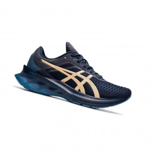 Asics NOVABLAST Laufschuhe Damen Navy | 904MIZDKW