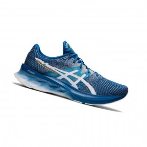 Asics NOVABLAST Laufschuhe Herren Blau | 087AXDHJV