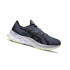 Asics NOVABLAST Laufschuhe Herren Dunkelgrau | 521IFZCEL
