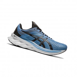 Asics NOVABLAST Laufschuhe Herren Grau | 846KNJCDS