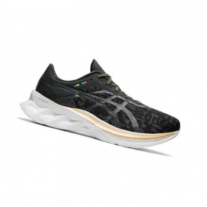Asics NOVABLAST Laufschuhe Herren Schwarz | 205SCUBMR