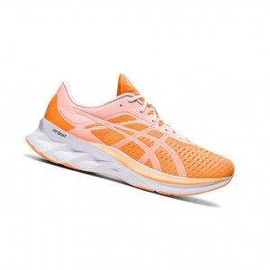 Asics NOVABLAST Modern Tokyo Laufschuhe Herren Orange | 452XKBGDJ