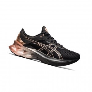 Asics NOVABLAST Platinum Laufschuhe Damen Schwarz | 928FIXMNQ