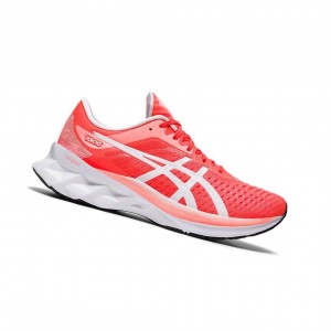 Asics NOVABLAST TOKYO Laufschuhe Damen Rot | 613JBTASV