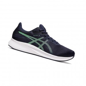 Asics PATRIOT 13 Laufschuhe Herren Midnight / New Leaf | 419WNAKER