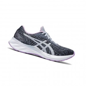 Asics ROADBLAST Laufschuhe Damen Grau | 391OIKLYP