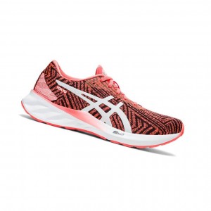 Asics ROADBLAST Laufschuhe Damen Rot | 019NBCXFQ